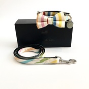Percy & Co - Collar, Bow Tie and Lead Set - Thurlestone