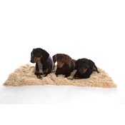 In Vogue Pets - Shaggy Pet Blanket - Camel