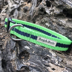 Green Dog Collar