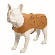 Baker & Bray - Kensington Dog Trench Coat – Cinnamon & Liberty Seth R
