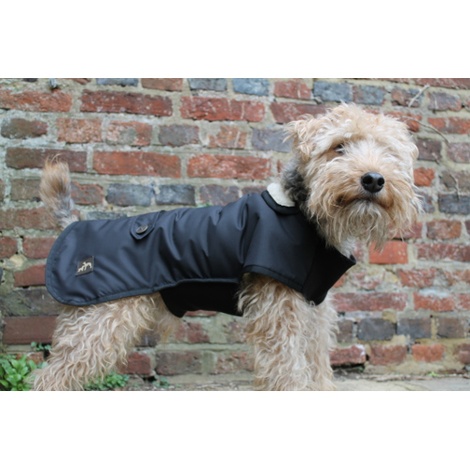 underbelly dog coat