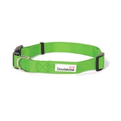 Doodlebone - Bold Dog Collar – Green