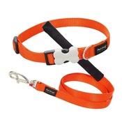 Red Dingo - Orange Collar & Lead