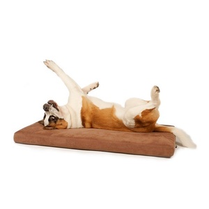 Foam Dog Bed - Ginger