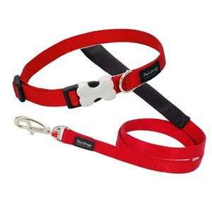 Red Collar & Lead