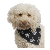 Pet Pooch Boutique - Dog Bandana - Black Skulls