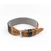 Ralph & Co - Tweed & Leather Dog Collar - Ascot