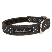 Salt Dog Studios - Classic Aqua on Brown Polka Dots Dog Collar