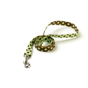 Yellow Dog - Green/Brown Polka Lead