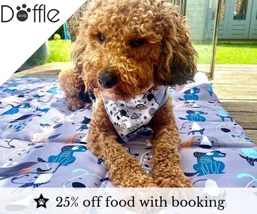 Doffle Dog
