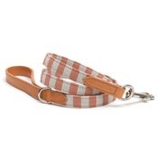Mutts & Hounds - Camello Striped Dog Lead