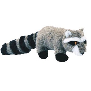 Ricky the Raccoon