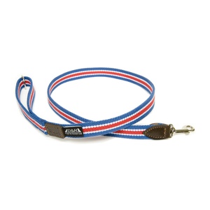 Red, White & Blue Wide Striped Webbing Lead