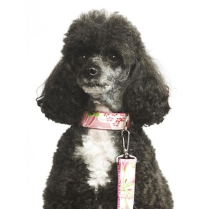 Lily Dog Lead 1" Width