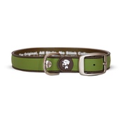 Dublin Dog - All Style No Stink Waterproof Dog Collar