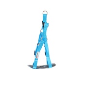 Doodlebone - Padded Bold Harness - Cyan