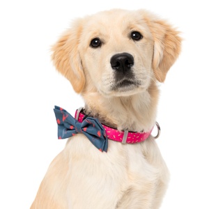 Reindeer Christmas Bow Tie