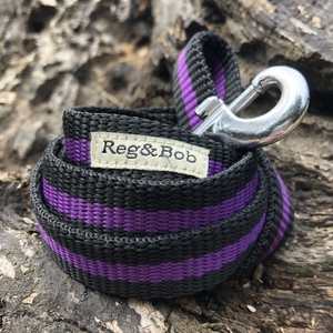 Purple Dog Lead