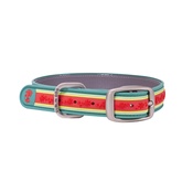 Dublin Dog - All Style No Stink Waterproof Dog Collar