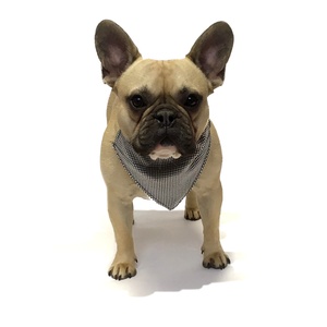 Dogtooth Dog Bandana
