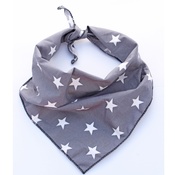 Pet Pooch Boutique - Grey Star Dog Bandana