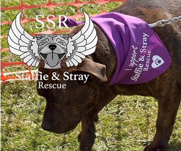 Staffie and Stray Rescue