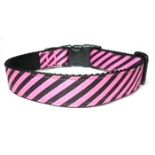 Woof and Meow - Diagonal Stripe Collar
