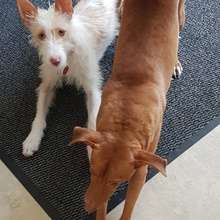 Copper