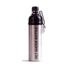 Silver 750ml Pet Water Bottle