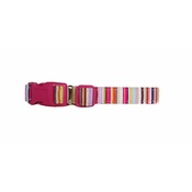 Arton & Co - Candy Stripe Dog Collar