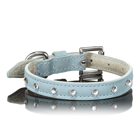 sky blue dog collar