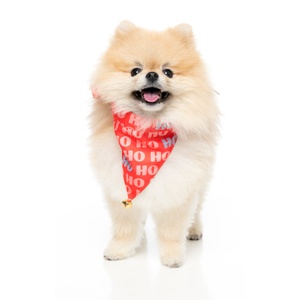Ho Ho Christmas Bandana With Bell
