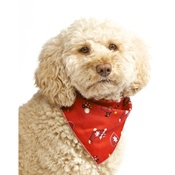 Pet Pooch Boutique - Santa's Wish Dog Bandana