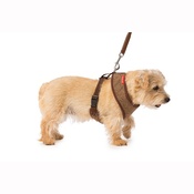 House of Paws - Brown Tweed Memory Foam Harness