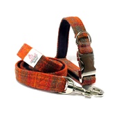 My McDawg - Orange & Olive Collar & Lead Set