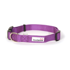 Bold Dog Collar – Purple