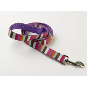 Yellow Dog - Multi-Stripe on Purple Polka Lead