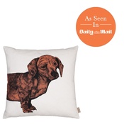 The Graduate Collection - Dachshund Cushion - Orange