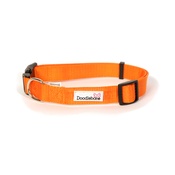 Doodlebone - Bold Dog Collar – Orange
