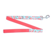 Pet Pooch Boutique - Watermelon Blue Dog Lead