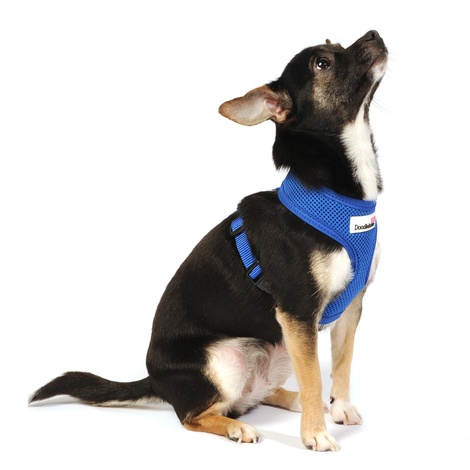 air mesh dog harness