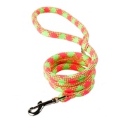 Yellow Dog - Braided Dog Lead – Fluorescent Yellow & Pink