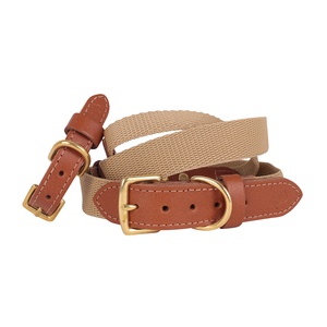 "The Richmond" Webbing & Leather Tan Collar