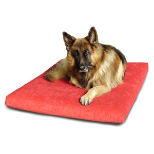 Foam Dog Bed - Flame