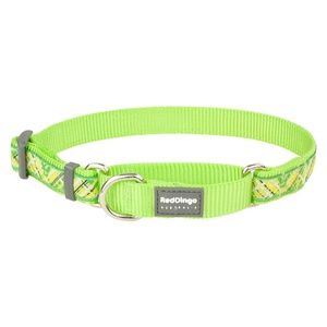 Flanno Martingale Dog Collar – Lime Green