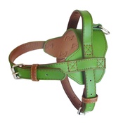 The Paws Pet Supplies - Colour Fusion Leather Harness – Lime