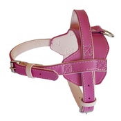 The Paws Pet Supplies - Colour Fusion Leather Harness – Pink