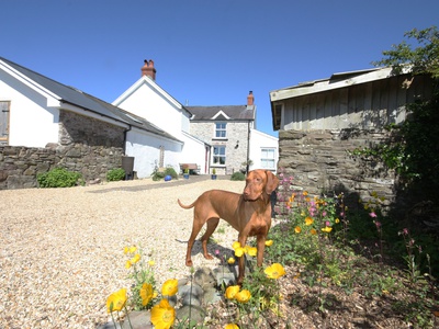 The Den, Carmarthenshire