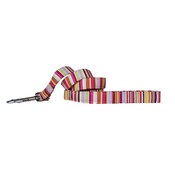 Arton & Co - Candy Stripe Dog Lead
