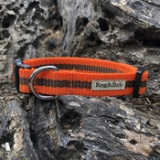 Reg&Bob - Orange Dog Collar
